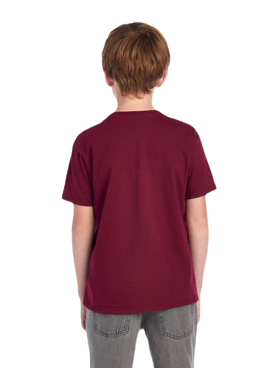 Youth HD Cotton™ T-Shirt - Maroon