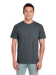 Charcoal Gray