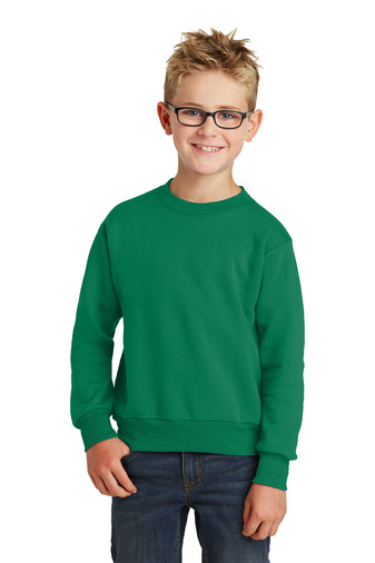 Youth Core Fleece Crewneck Sweatshirt - Kelly