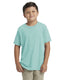 Next Level N6310 - Youth Triblend Crew - Tahiti Blue