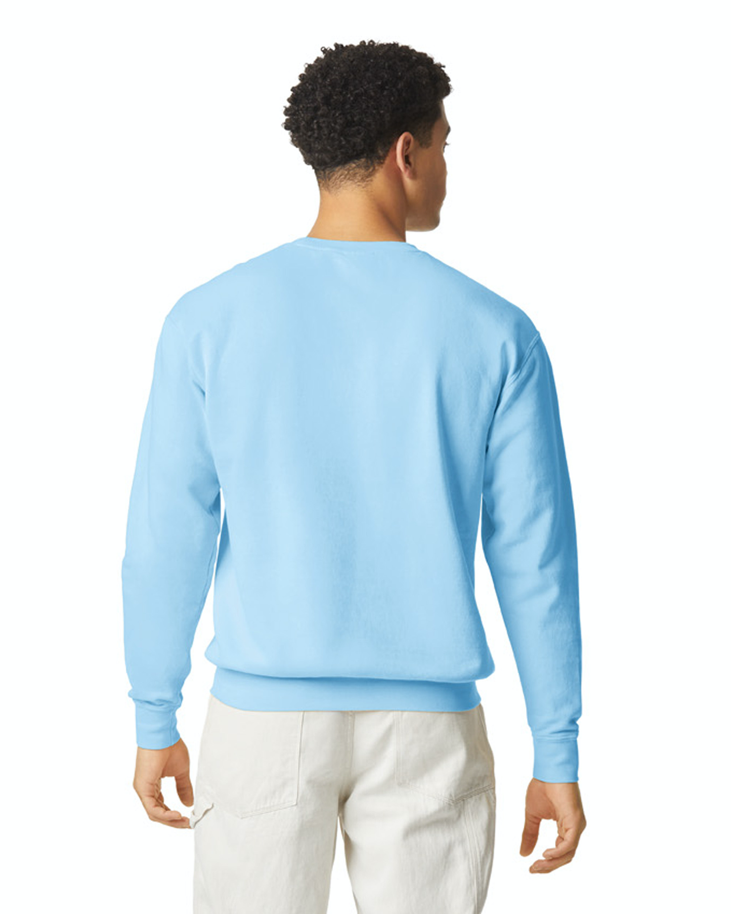Unisex Lighweight Cotton Crewneck Sweatshirt - Hydrangea