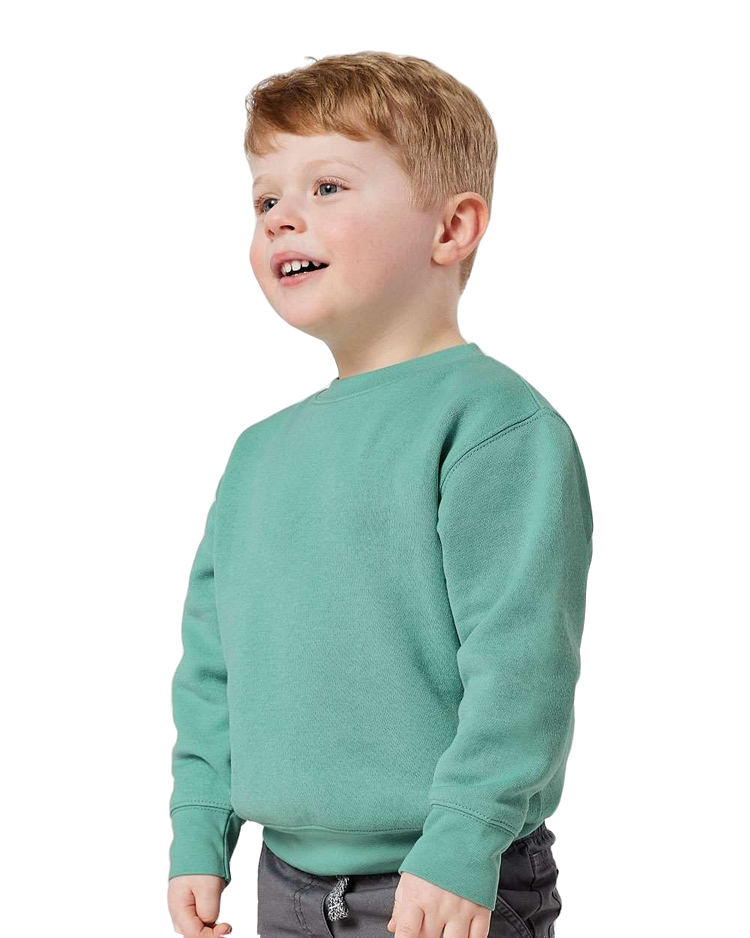 Toddler Fleece Sweatshirt - Saltwater