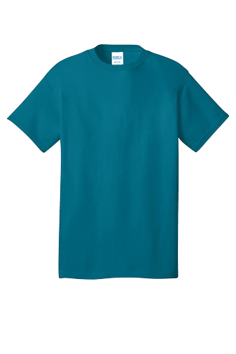 Unisex Core Cotton Tee - Teal