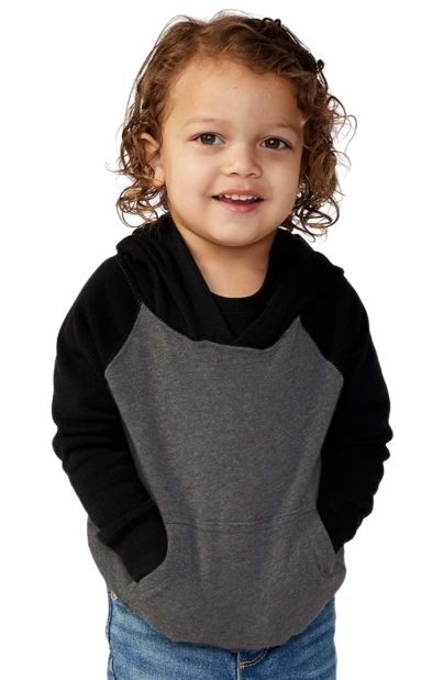 Toddler Special Blend Raglan Hoodie - Carbon / Black