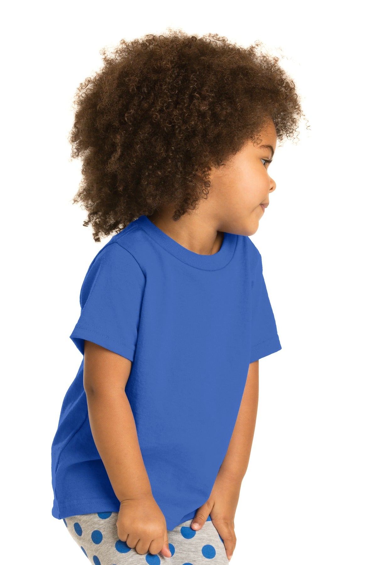 Toddler Core Cotton Tee - Royal