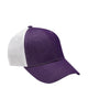 Purple / White