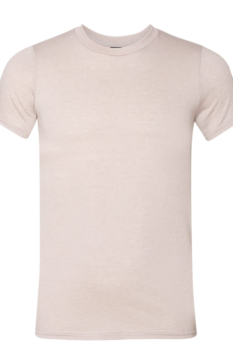 Lightweight Softstyle T-Shirt - Heather Slate