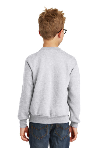 Youth Core Fleece Crewneck Sweatshirt - Ash